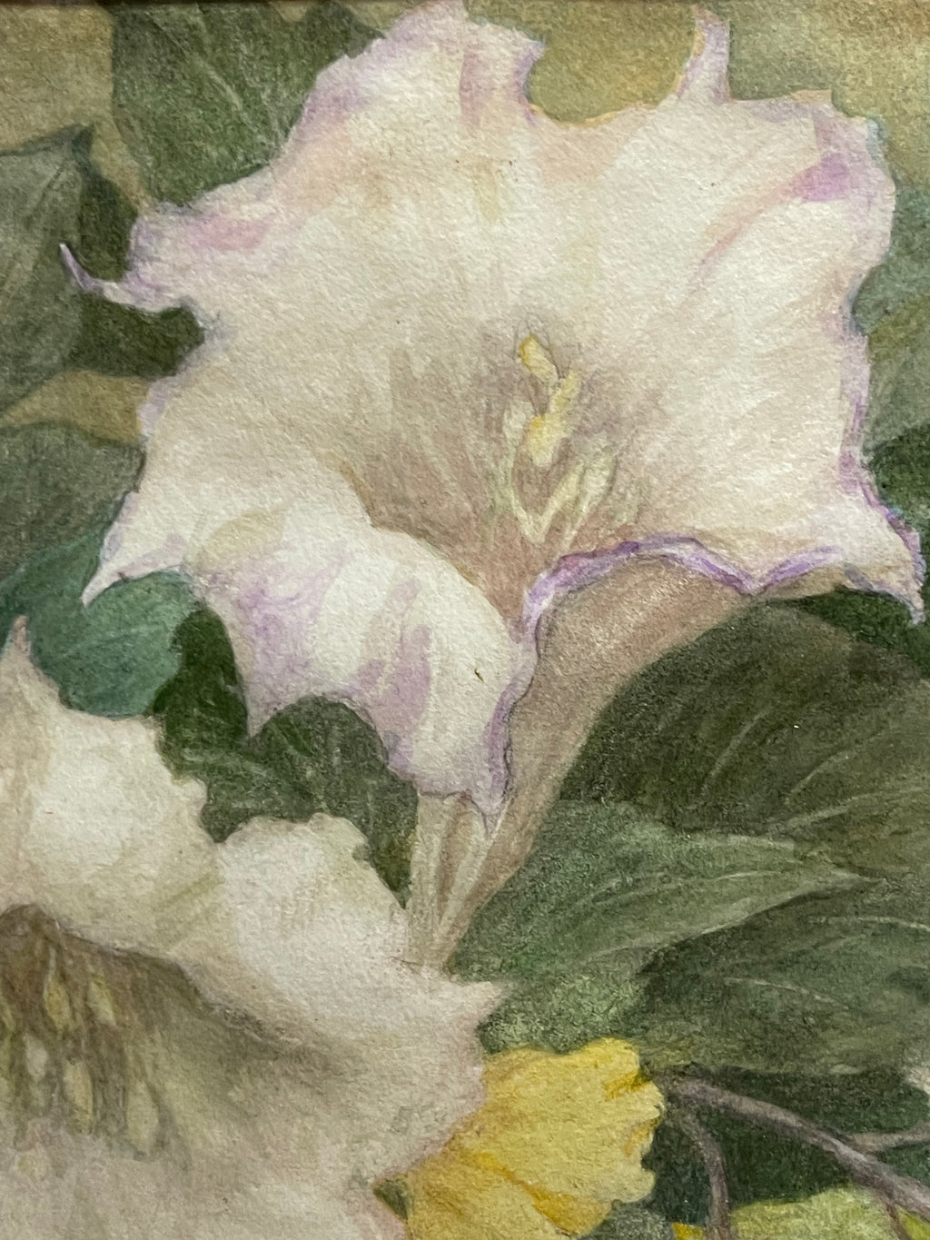 A Watercolor Still Life Bouquet Painting on Paper By Bailey Brownie