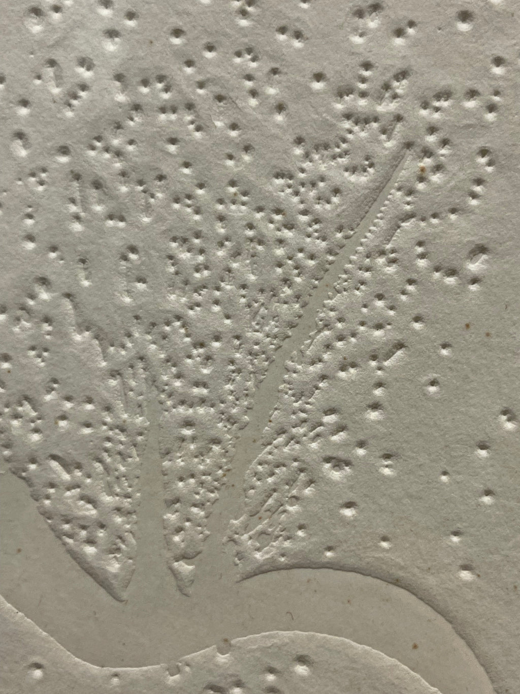 An Embossed Print By Salvador Dali: Frontispièce Apollinaire (Spain, 1904-1989)