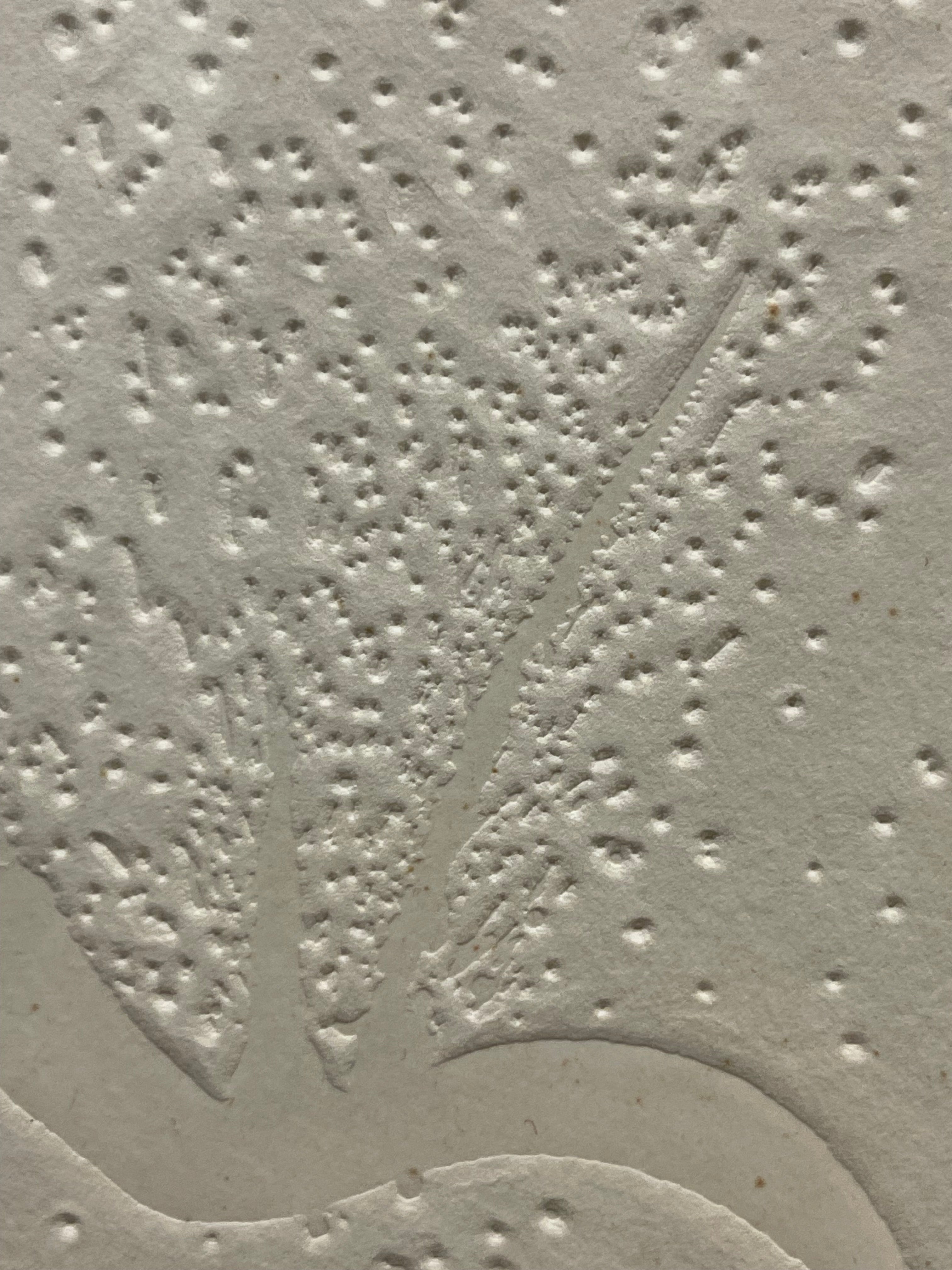 An Embossed Print By Salvador Dali: Frontispièce Apollinaire (Spain, 1904-1989)