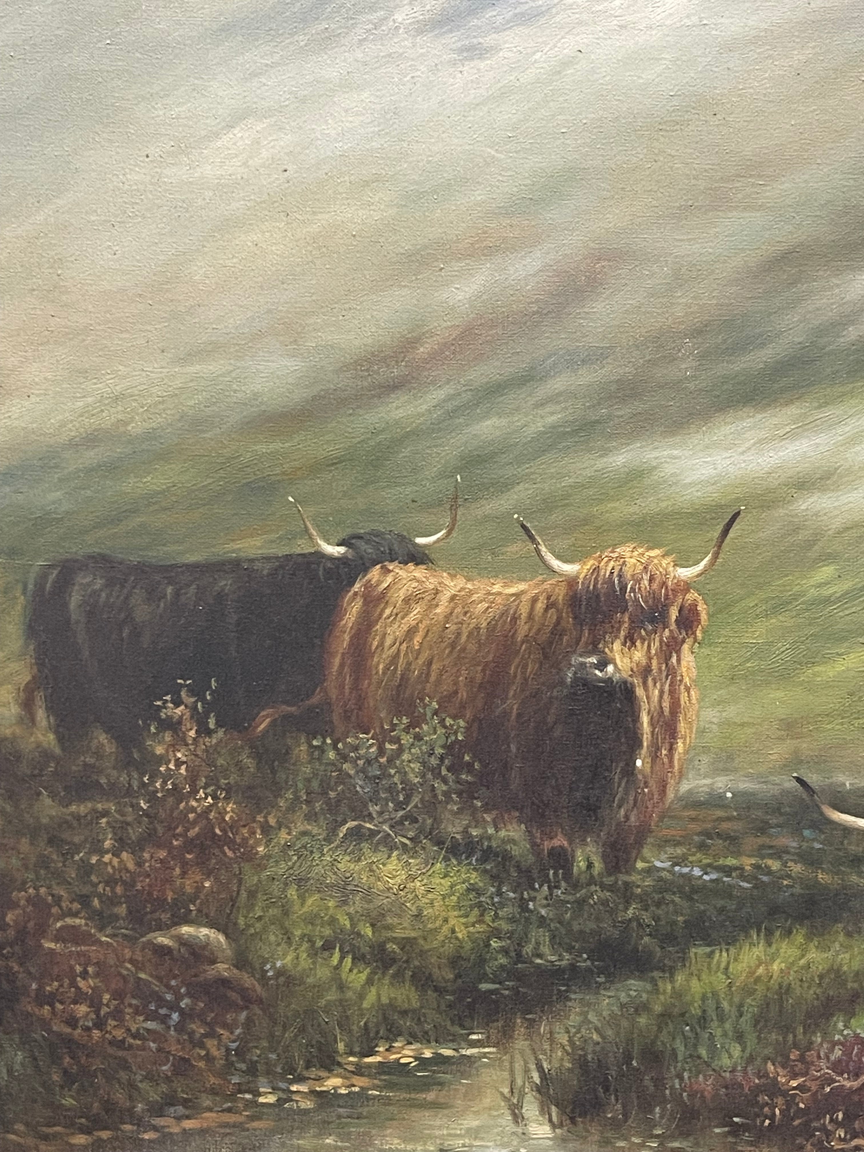 Andrew McCallum (1821-1902)