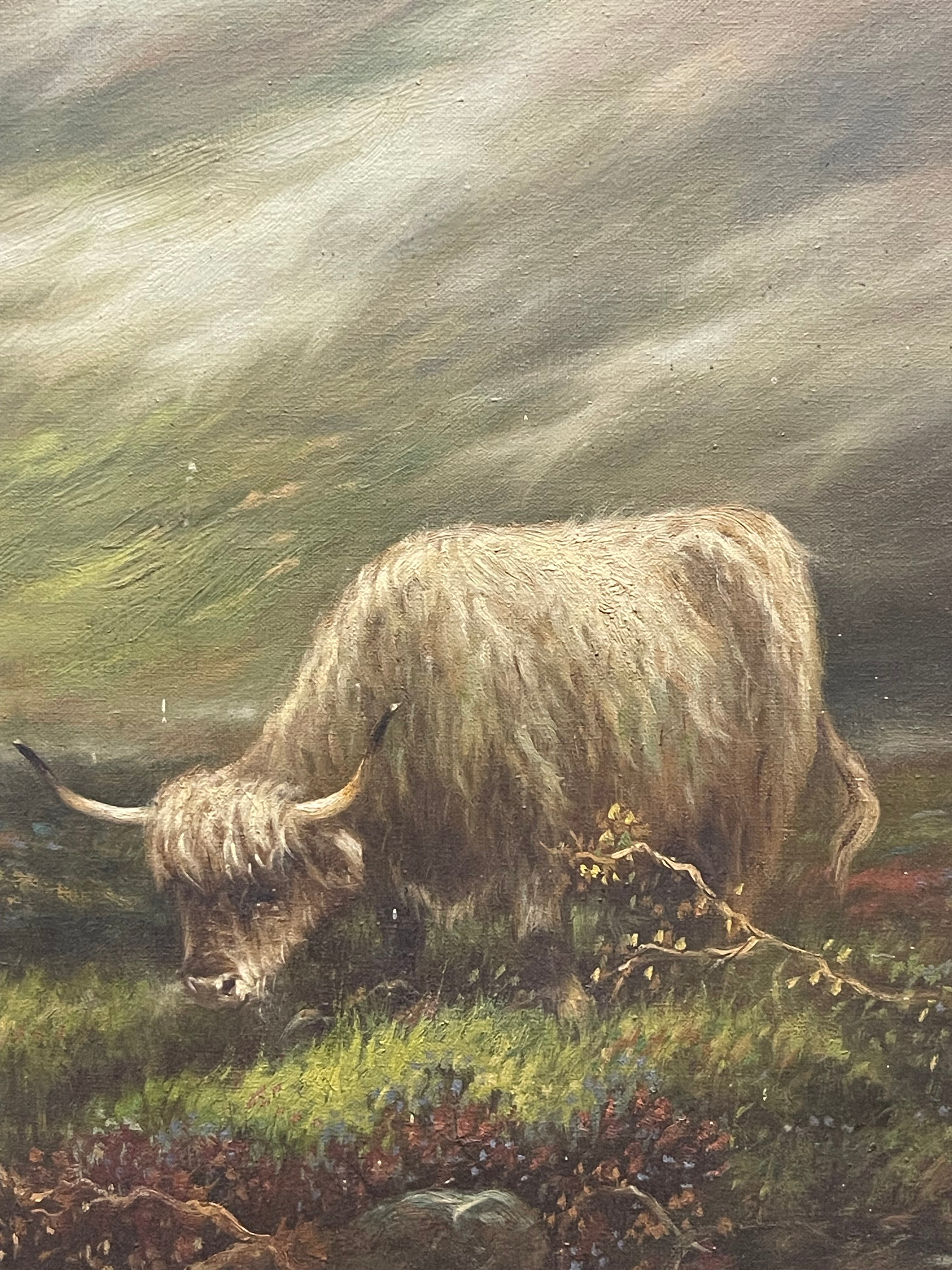 Andrew McCallum (1821-1902)