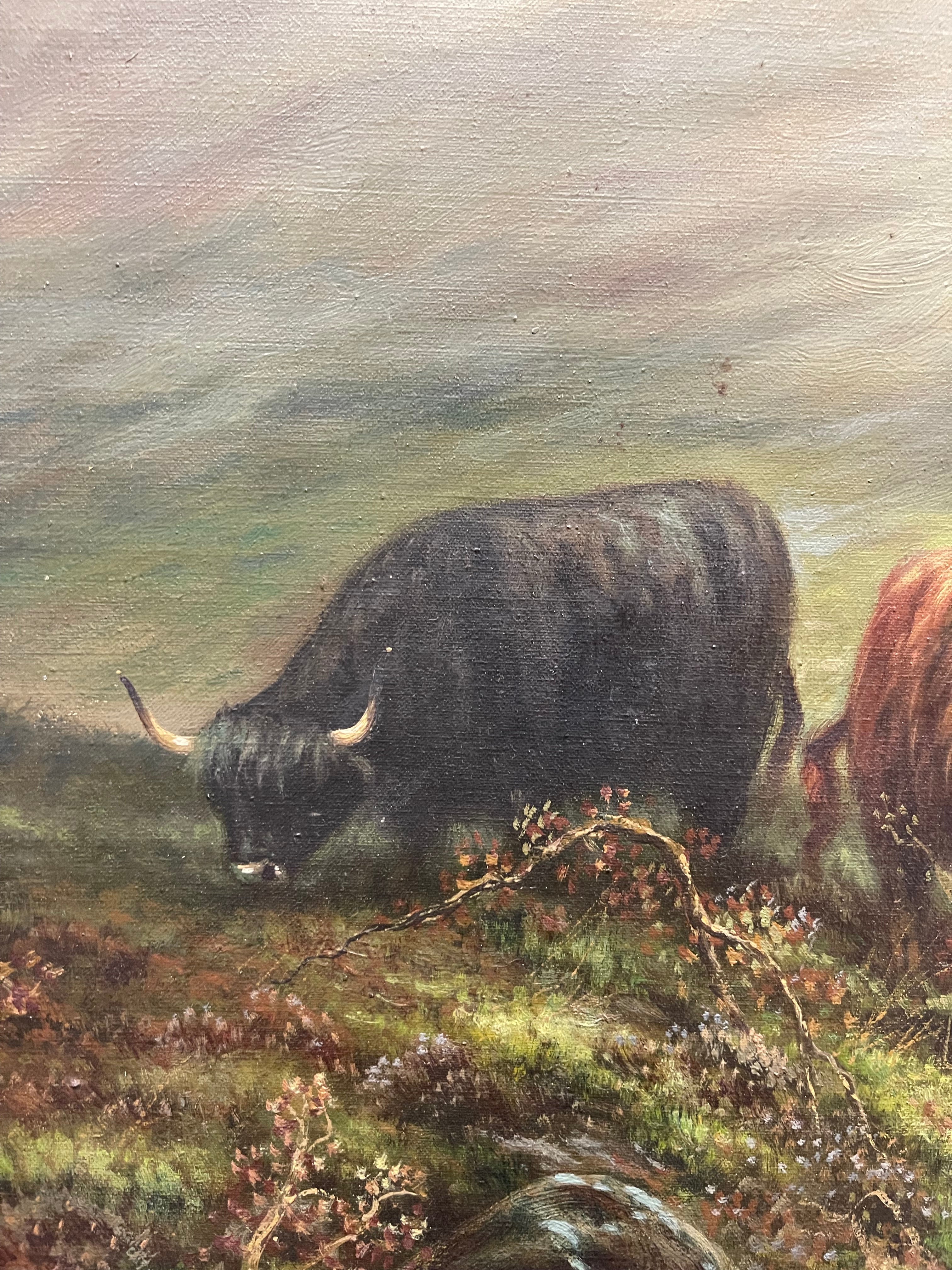 Andrew McCallum (1821-1902)