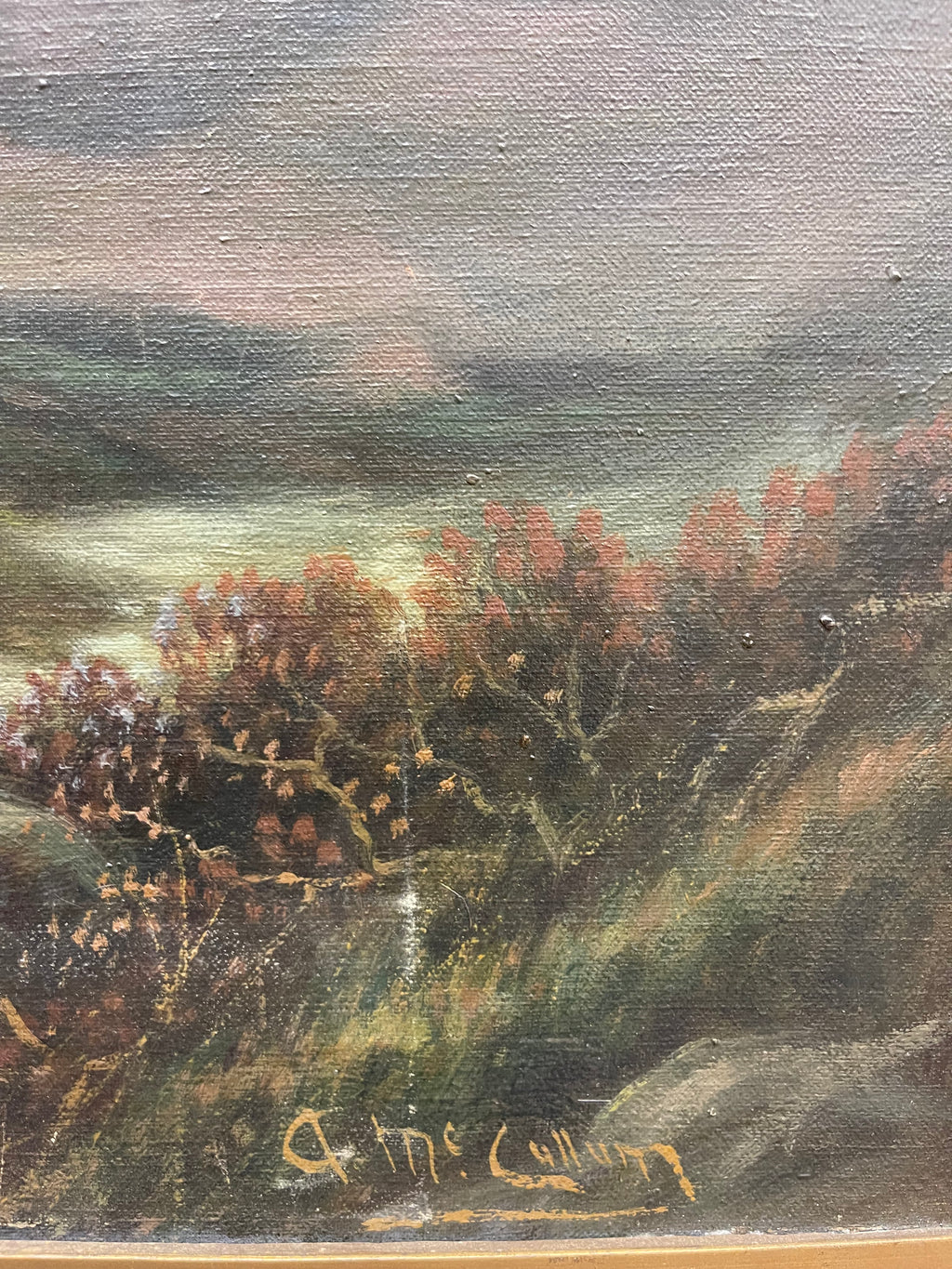 Andrew McCallum (1821-1902)