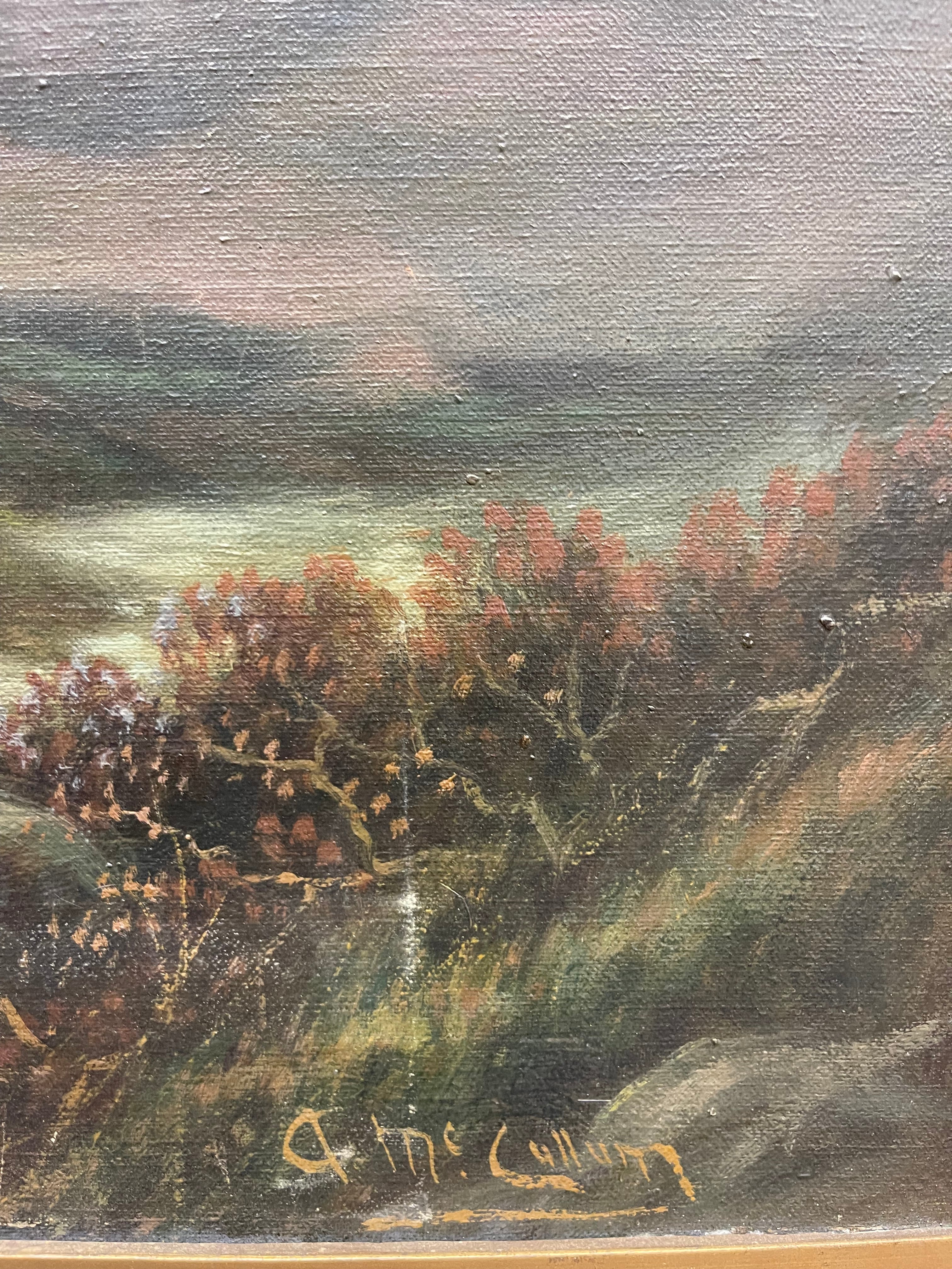 Andrew McCallum (1821-1902)