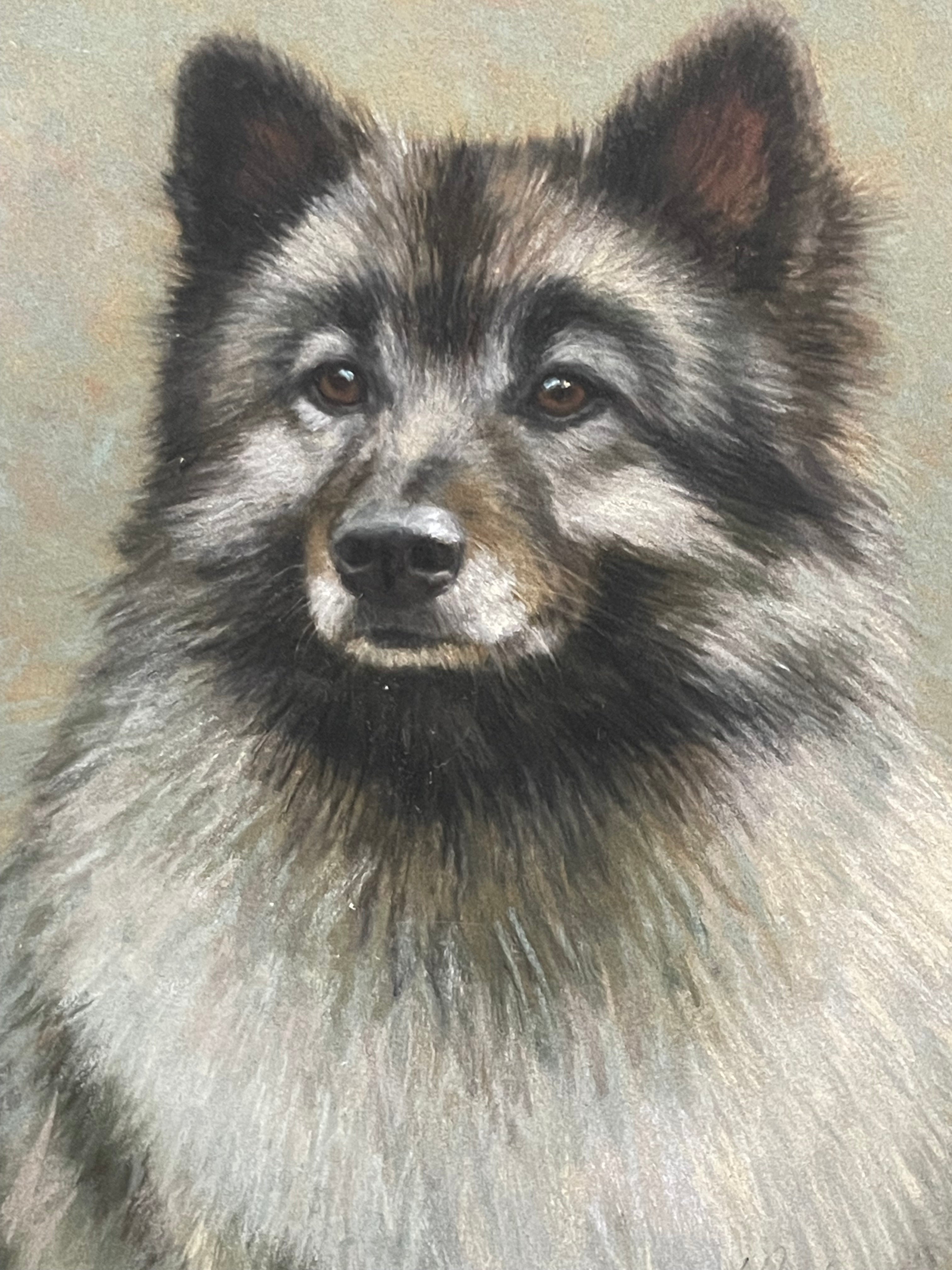 Pastel on Paper of a Husky