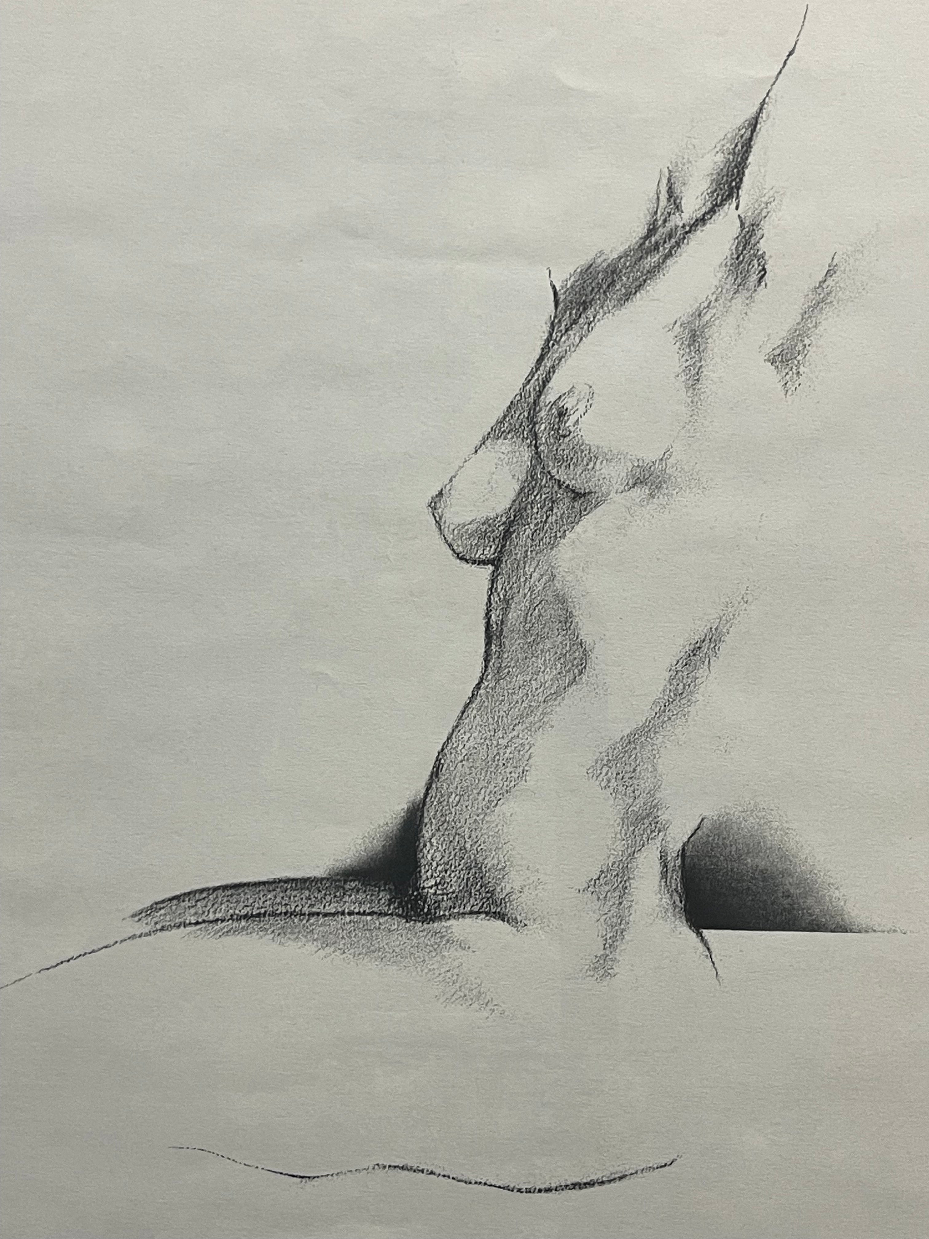 A Modern Drawing Study of a Torso