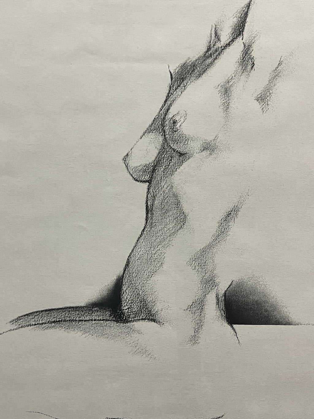 A Modern Drawing Study of a Torso