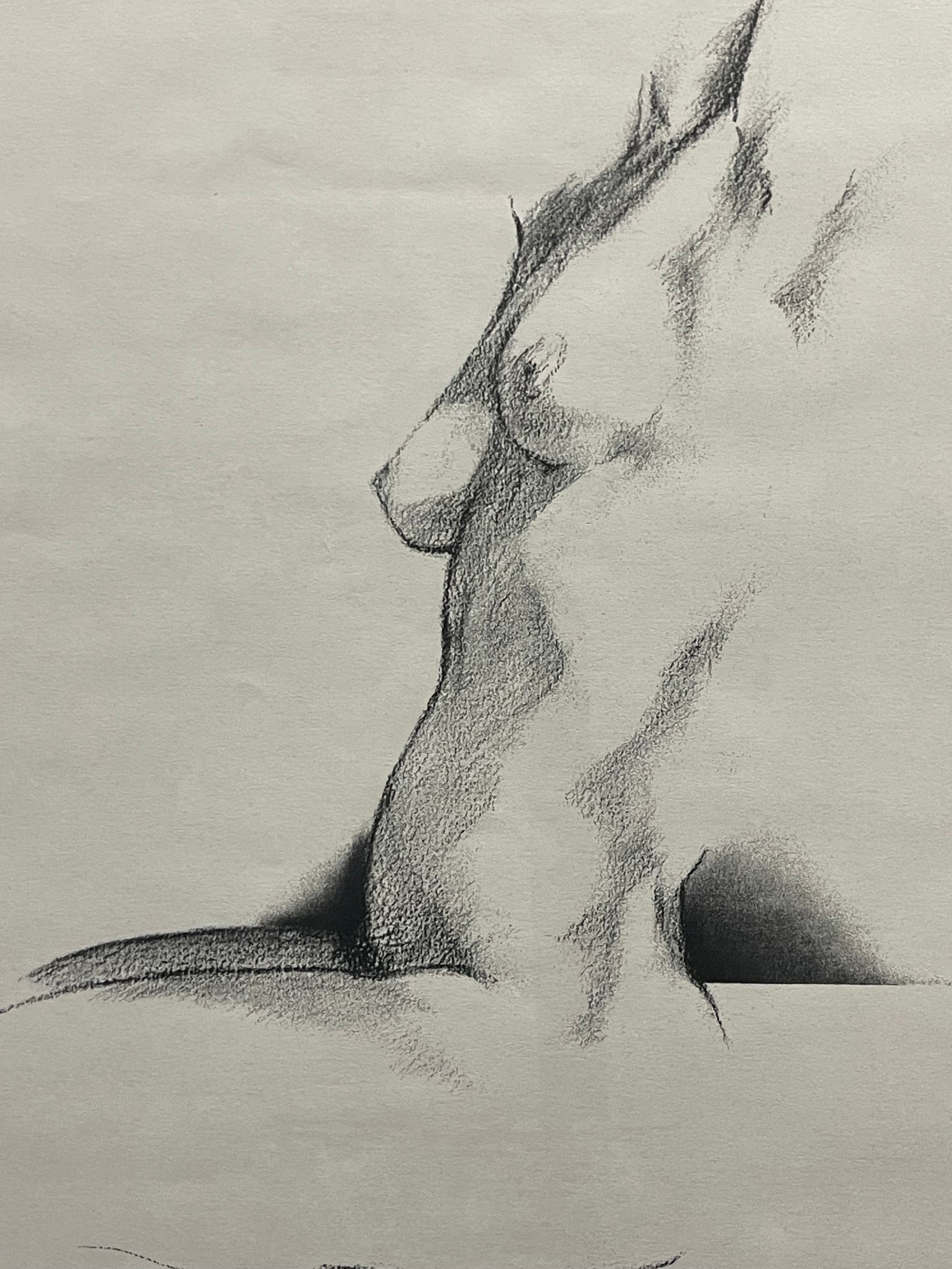 A Modern Drawing Study of a Torso
