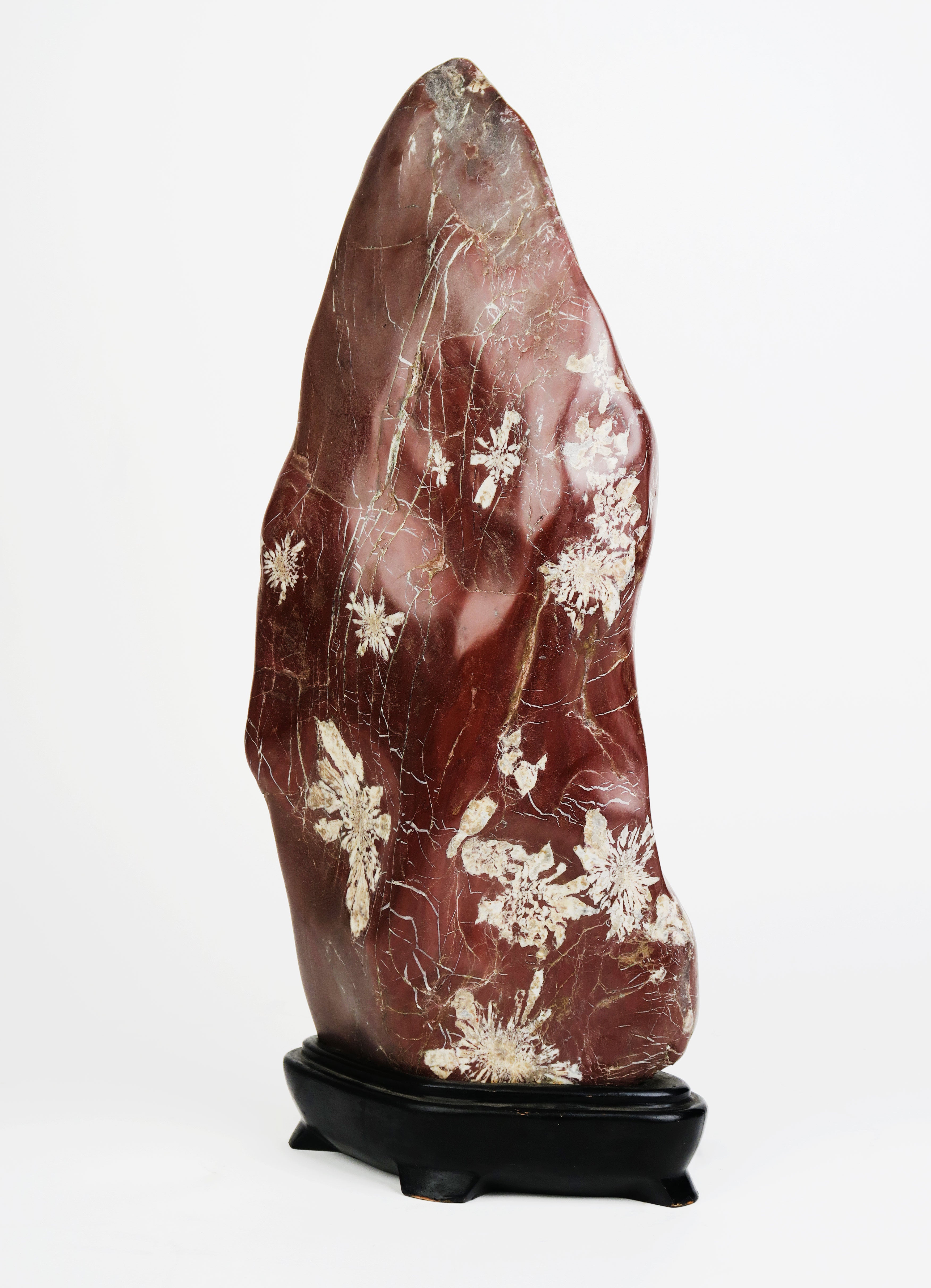 An Attractive & Rare Chinese Chrysanthemum Flower Stone