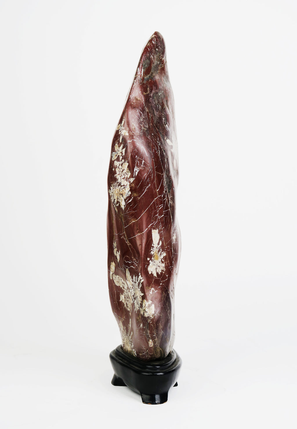 An Attractive & Rare Chinese Chrysanthemum Flower Stone