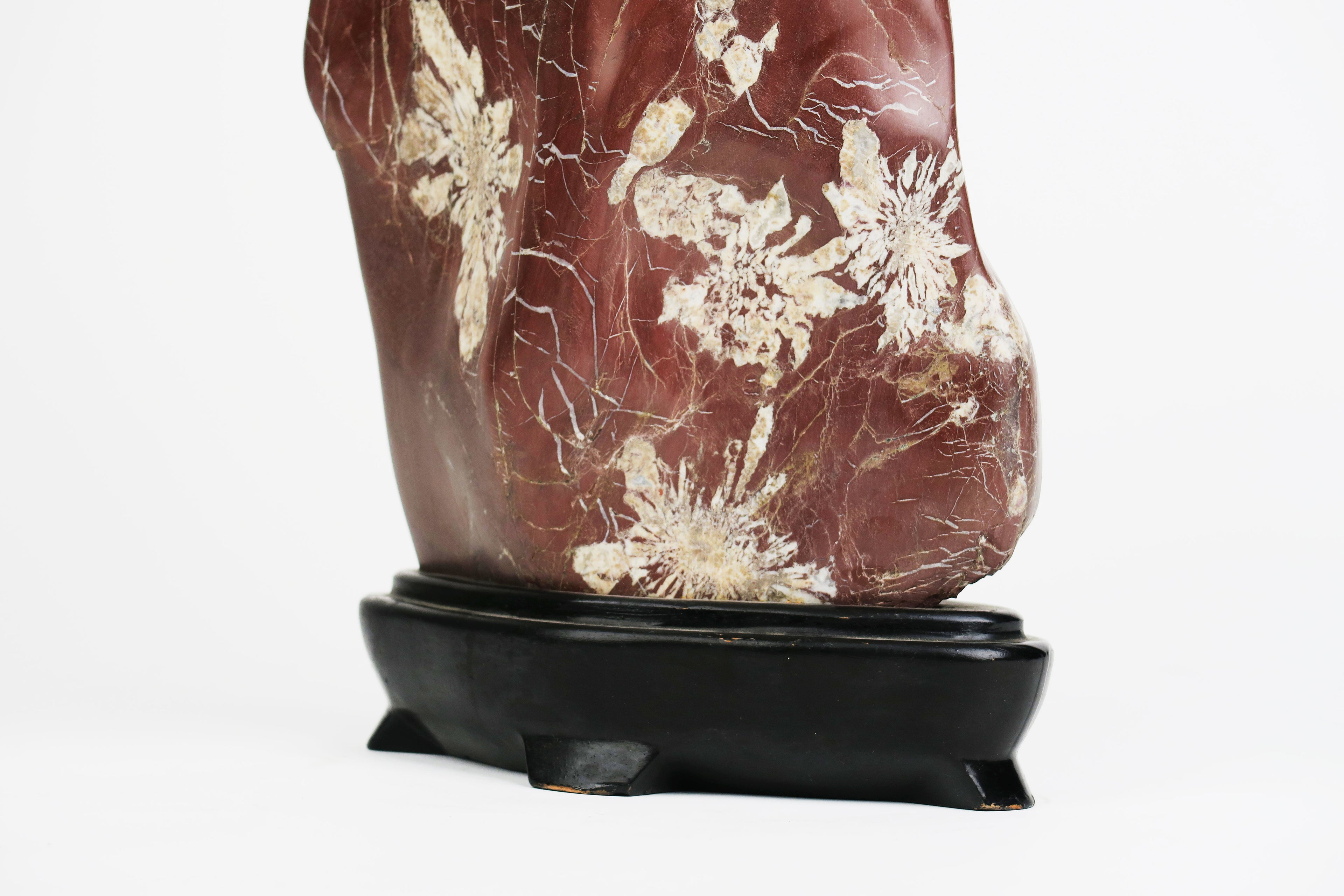 An Attractive & Rare Chinese Chrysanthemum Flower Stone