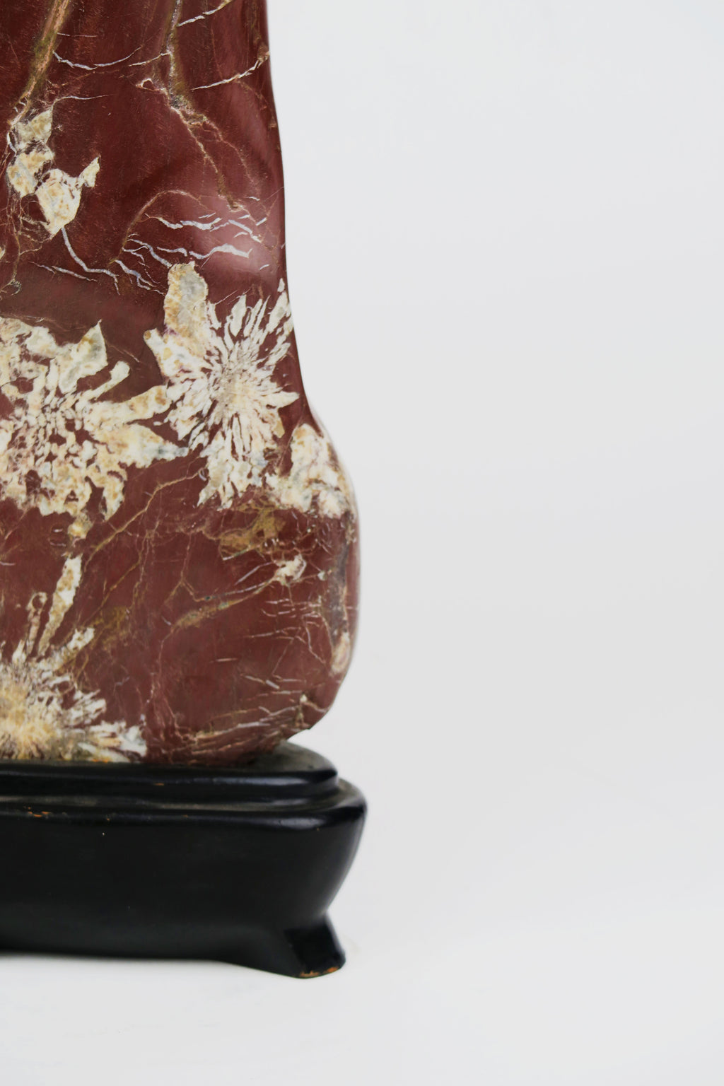 An Attractive & Rare Chinese Chrysanthemum Flower Stone
