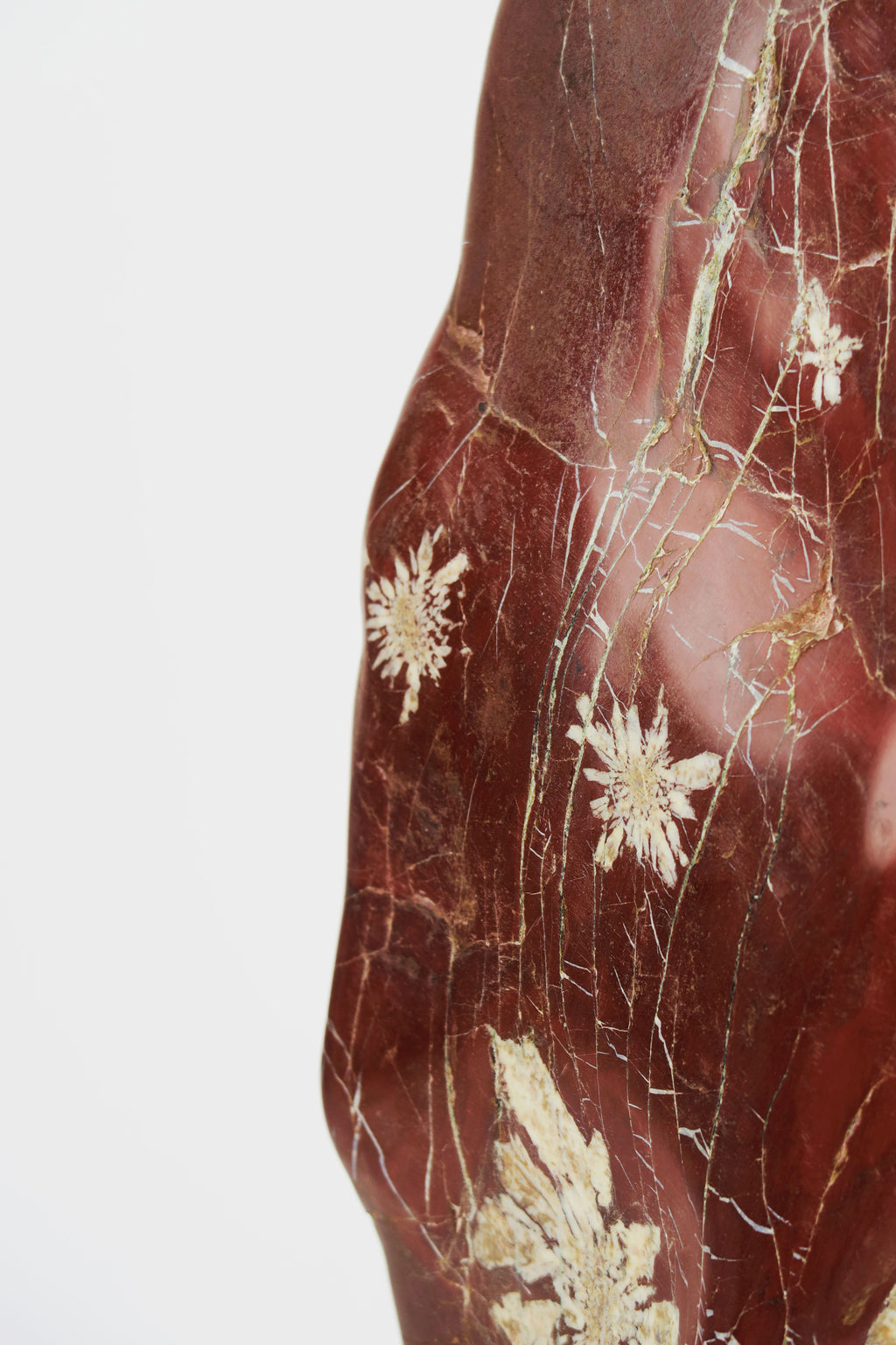 An Attractive & Rare Chinese Chrysanthemum Flower Stone