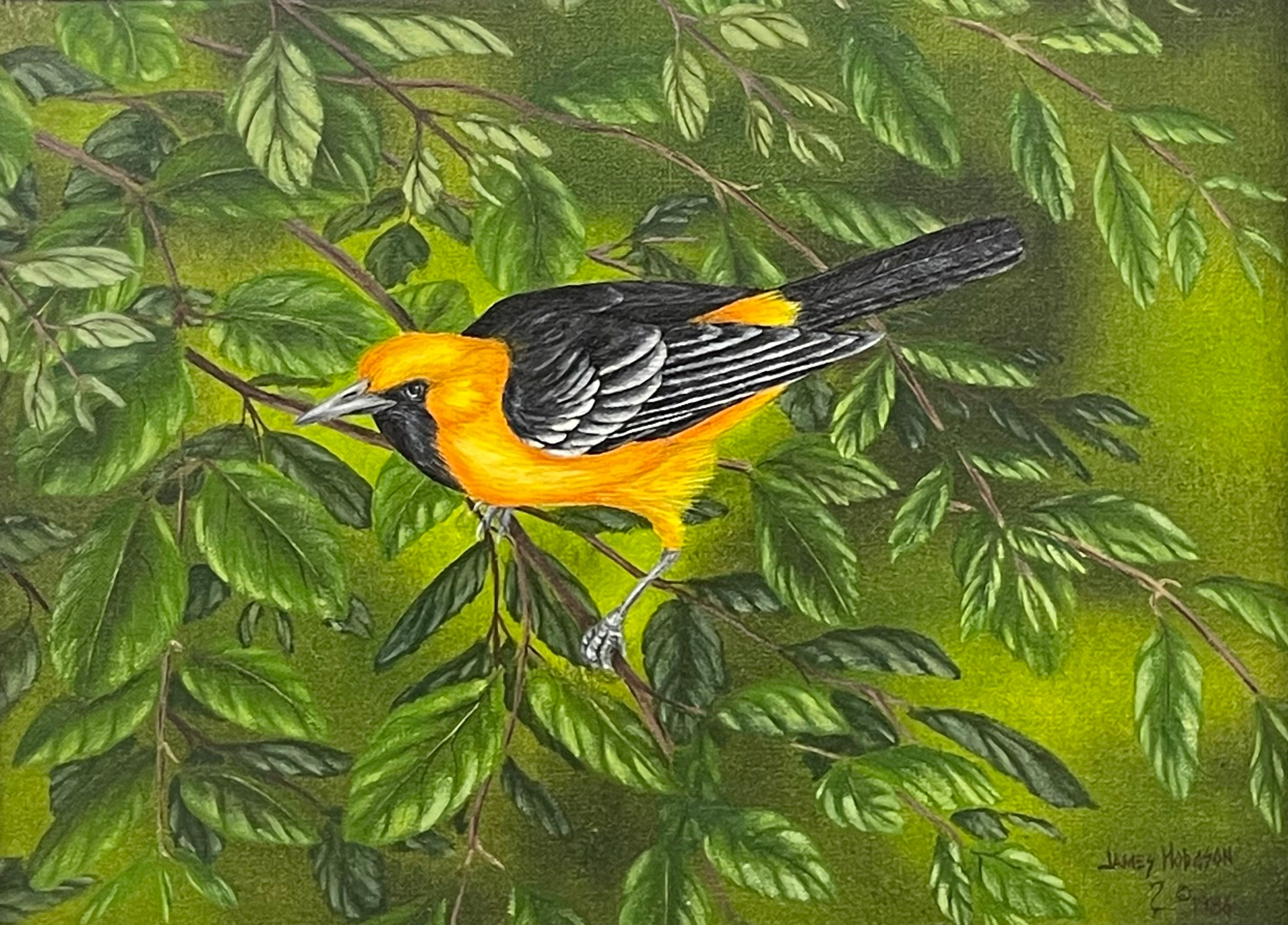 James Hodgson (Canadian Born B.1956)