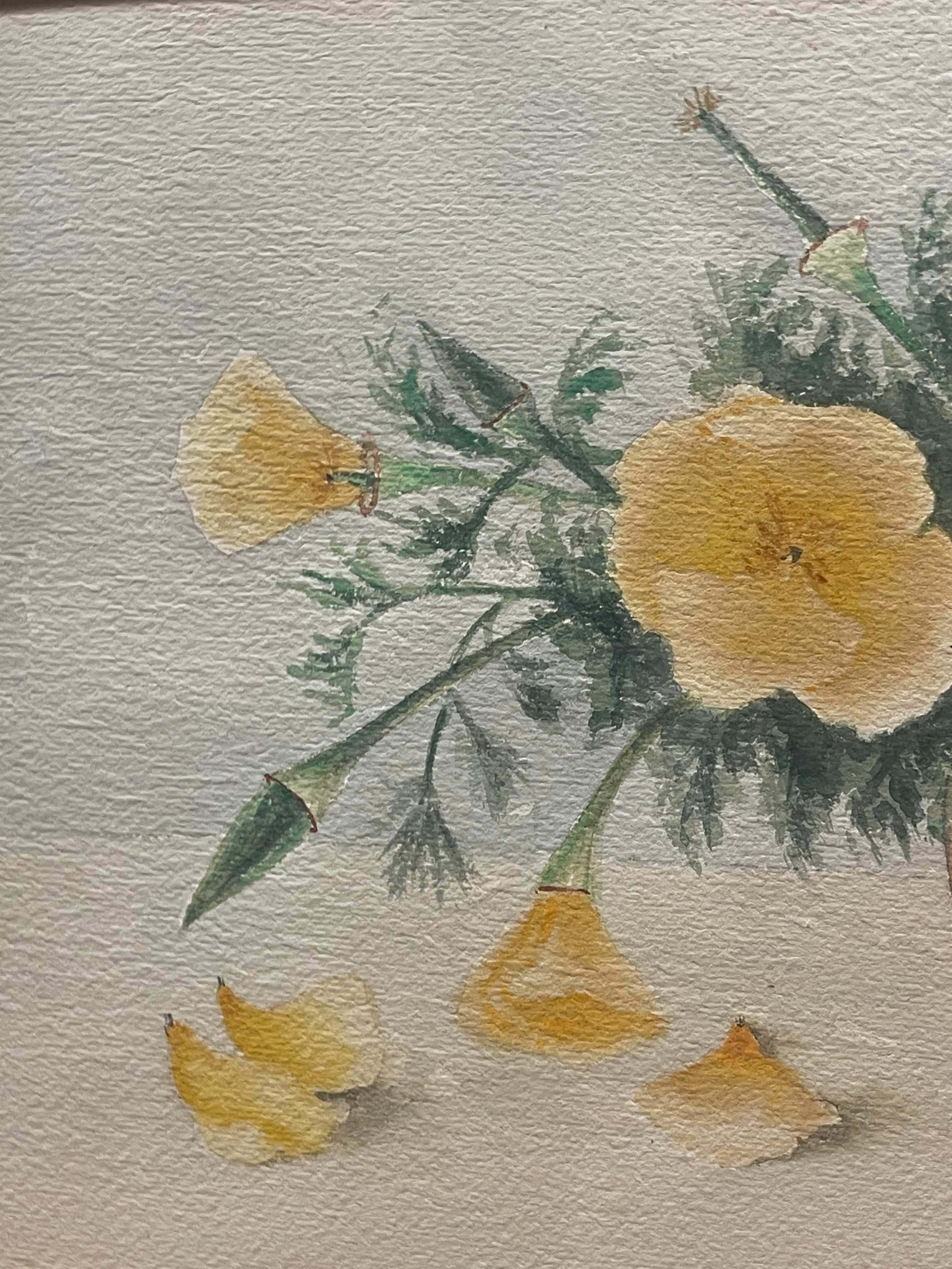 Watercolor on Paper Still-Life Painting