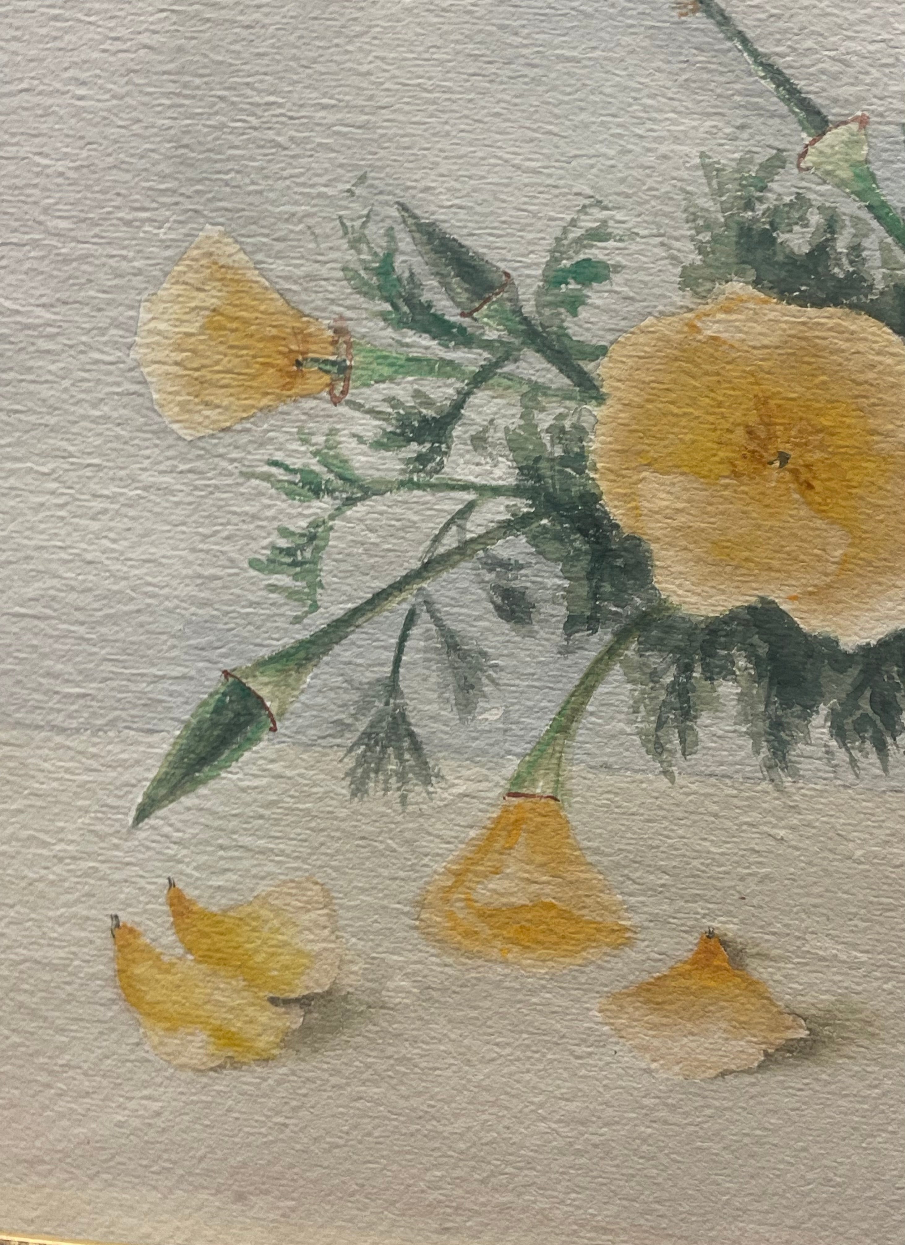 Watercolor on Paper Still-Life Painting